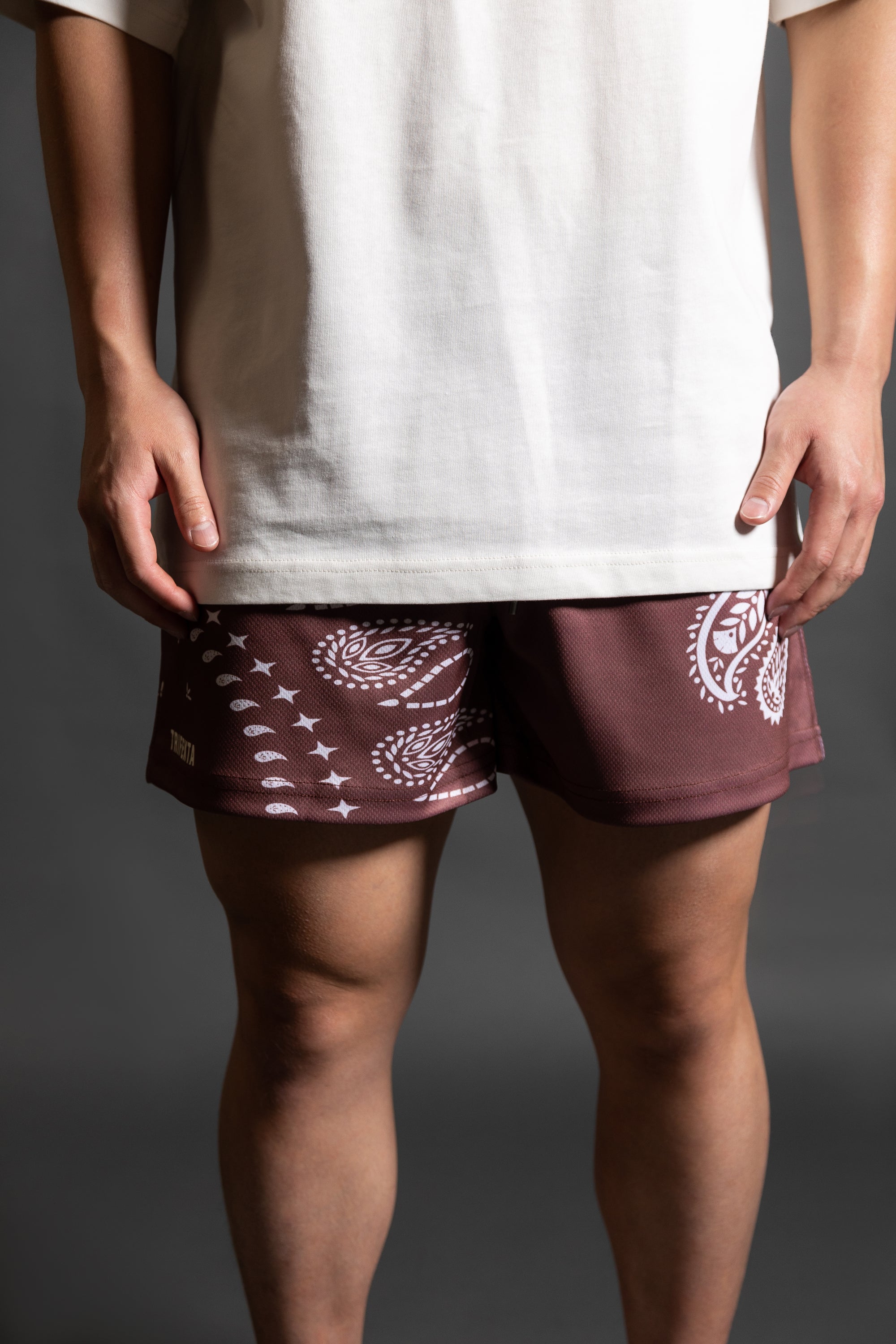 Paisley Shorts (Brown)
